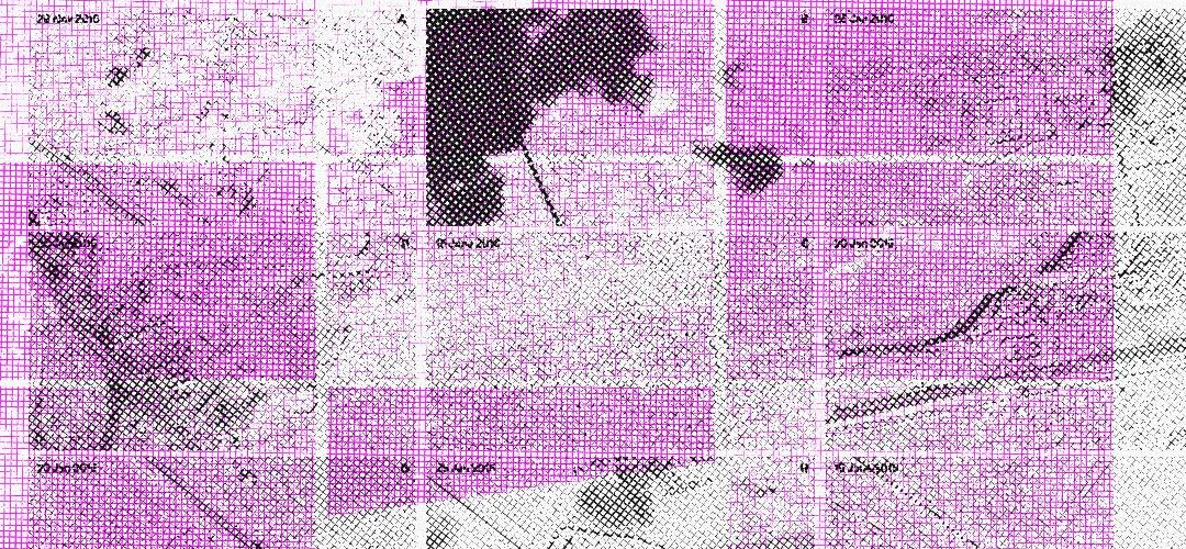 Miradas cotidianas